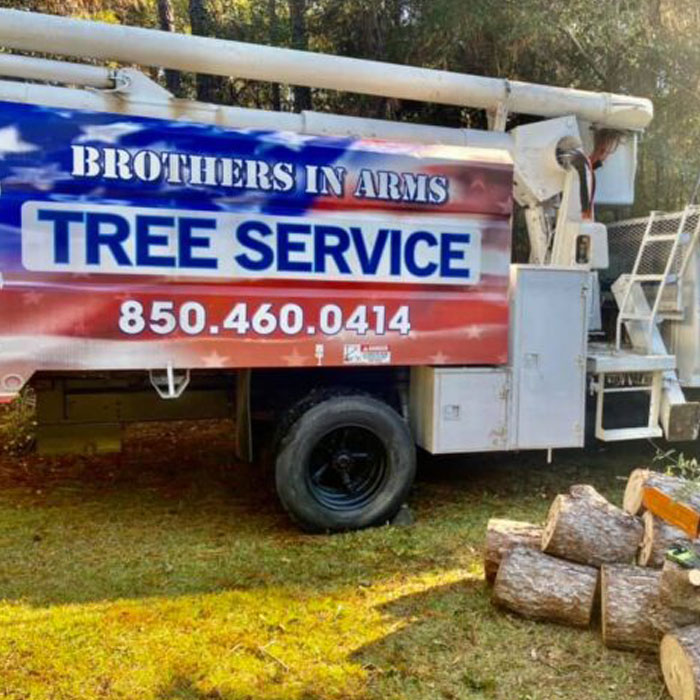 tree removal service destin