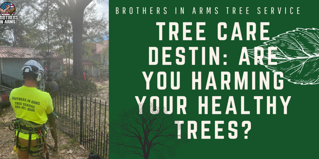 destin tree service