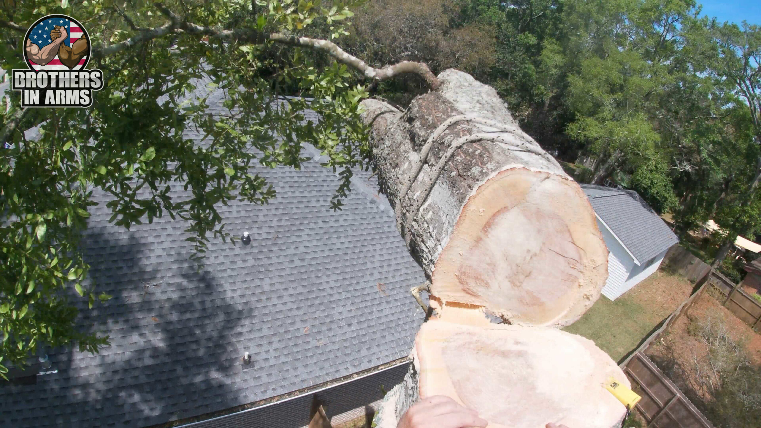 Tree Removal Service Crestview