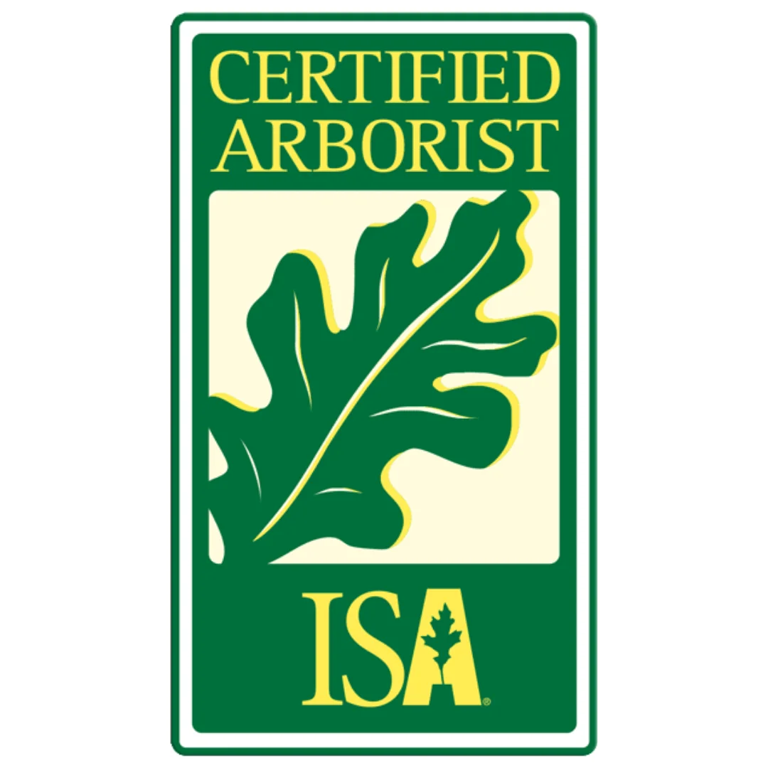 ISA-2 (1)